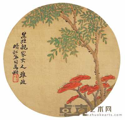 司马湘 灵芝 23.5×24.5cm